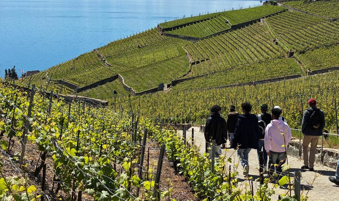 Balade en Lavaux